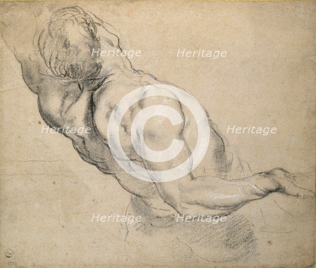 Study of a nude male Torso, 1600-1640. Artist: Peter Paul Rubens.