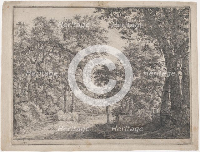 The Trimmed Groves, 17th century. Creator: Anthonie Waterloo.