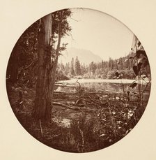 [Yosemite National Park, California], ca. 1878. Creator: Carleton Emmons Watkins.