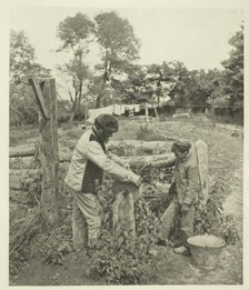 At the Grindstone-A Suffolk Farmyard, c. 1883/87, printed 1888. Creator: Peter Henry Emerson.