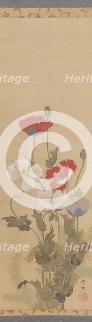 Poppies, mid-19th century. Creator: Suzuki Kiitsu.