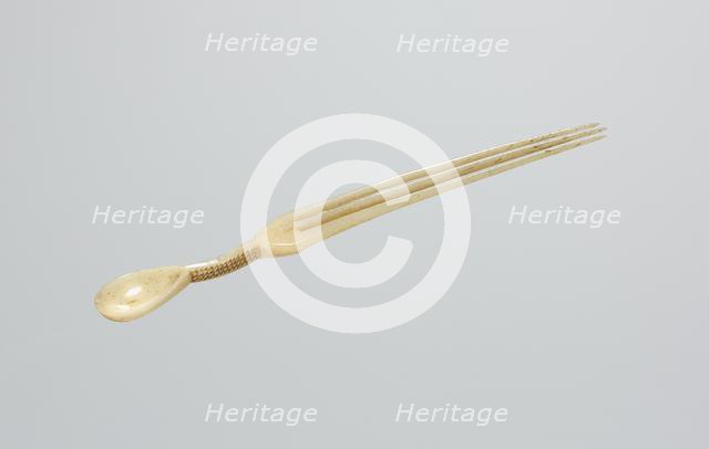 Snuff Spoon/Comb, late 1800s. Creator: Unknown.