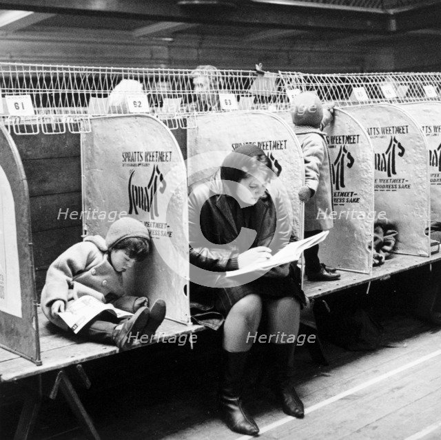 Woman and child at a London dog show, possibly Crufts, 1964. Artist: Henry Grant