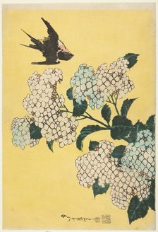 Hydrangea and Swallow, from an untitled series of large flowers, Japan, c. 1833/34. Creator: Hokusai.