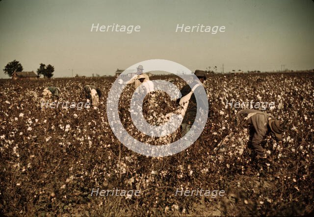 Day laborers picking cotton near Clarksdale, Miss. Delta, 1940. Creator: Marion Post Wolcott.