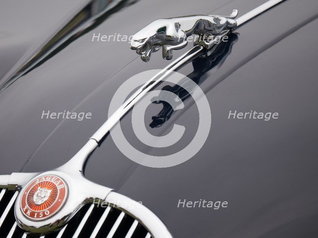 Leaping cat mascot on Jaguar XK150