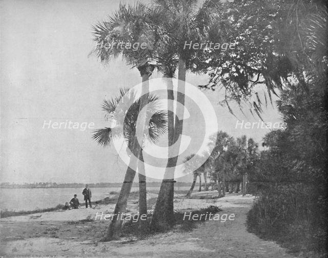 'Indian River, Florida', c1897. Creator: Unknown.