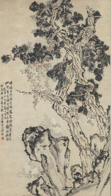 Cypress peak. Creator: Li Shan (1686-1762).