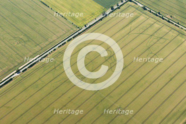 Iron Age/Roman settlement in Comberton, Cambridgeshire, 2015. Artist: Damian Grady.