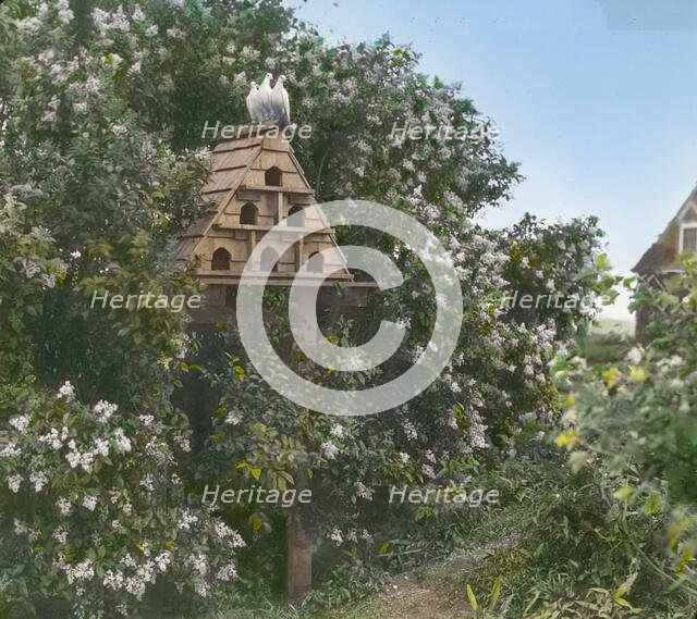 "Gray Gardens," Robert Carmer Hill house, Lily Pond Lane, East Hampton, New York, c1914. Creator: Frances Benjamin Johnston.