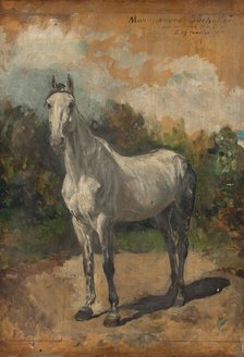 Bachelor, artist's horse, 1871. Creator: Jean Louis Ernest Meissonier.