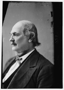 Joseph Ewing McDonald of Indiana, between 1870 and 1880. Creator: Unknown.