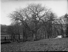 Stone bridge over river unknown, possibly Chester England, c1900s. Creator: Robert Augustus Henry L'Estrange.