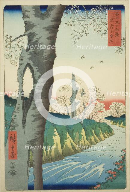 Koganei in Musashi Province (Musashi Koganei), from the series "Thirty-six Views of Mount..., 1858. Creator: Ando Hiroshige.