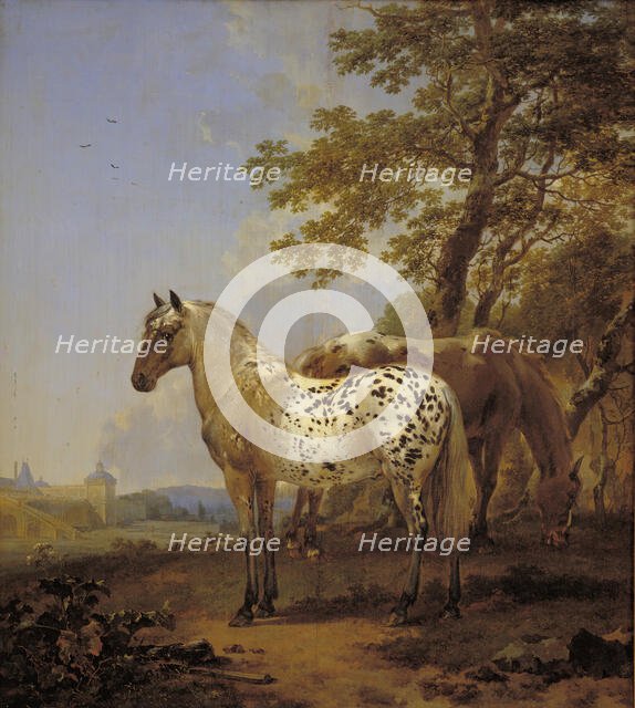 Two Horses in a Landscape, 1635-1683. Creator: Nicolaes Berchem.