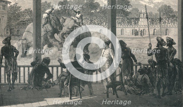 Elephant Fight at Baroda, 1896. Artist: Unknown