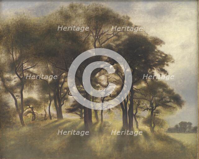 Near Fortunen, Jægersborg Deer Park, North of Copenhagen;From the Deerpark near Copenhagen, 1901. Creator: Vilhelm Hammershøi.