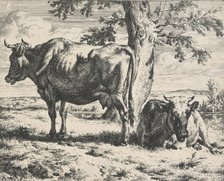 Cows and sheep. Plate 3: Two cows under a tree, 1650-1672. Creator: Adriaen van de Velde.
