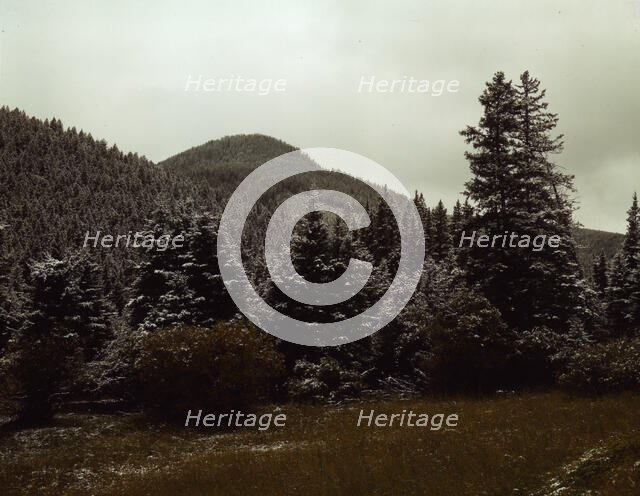First snow of the season in the foothills of the Little Belt Mount...Meagher County, Montana, 1942. Creator: Russell Lee.