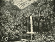 'Back Creek Falls, Buchan River, Victoria', 1901. Creator: Unknown.