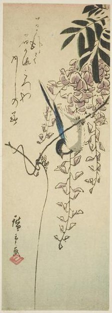 Bird on wisteria, n.d. Creator: Ando Hiroshige.