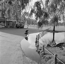 Hare and Billet Pond, Blackheath, London, 1955-1965. Artist: John Gay