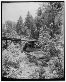 Bridge over the Whitewater, Sapphire, N.C., (1902?). Creator: William H. Jackson.