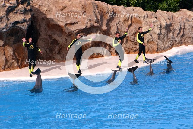 Dolphin show, Loro Parque, Tenerife, Canary Islands, 2007.