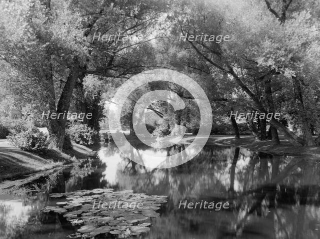 Willow Brook, home of Zenas Crane, Dalton, Mass., (c1909?). Creator: Unknown.