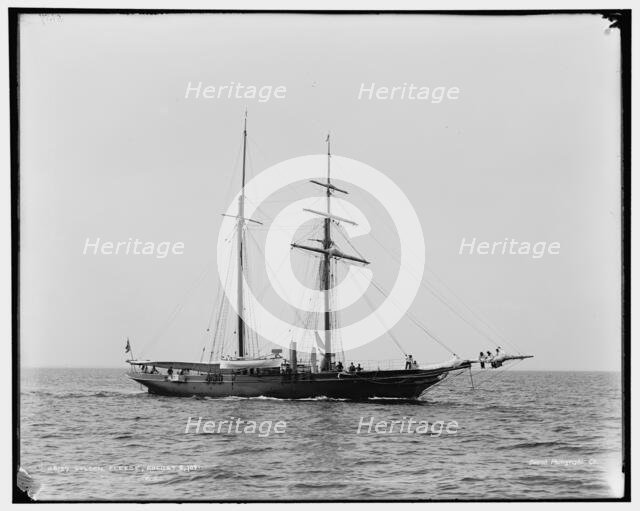 Golden Fleece, 1891 Aug 8. Creator: Unknown.