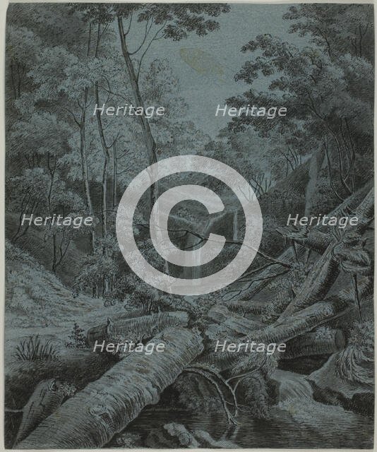 Waterfall and Fallen Logs in Forest, n.d. Creator: Unknown.