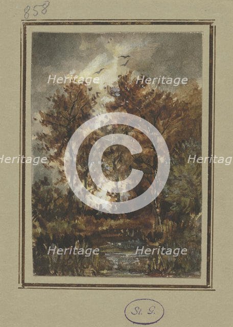 Autumn scenery with a brook, mid-late 19th century. Creator: Jakob Maurer.