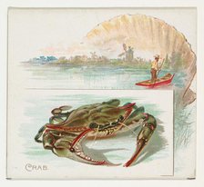 Crab, from Fish from American Waters series (N39) for Allen & Ginter Cigarettes, 1889. Creator: Allen & Ginter.
