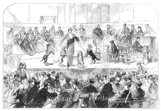 Christmas Soiree at the Hanover-Square Rooms, of the Association in aid of the Deaf and Dumb, 1869. Creator: Unknown.