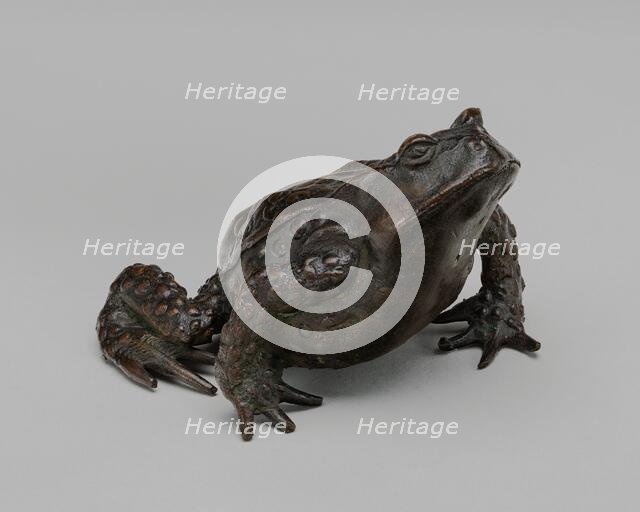 A Toad, early 16th century. Creator: Unknown.