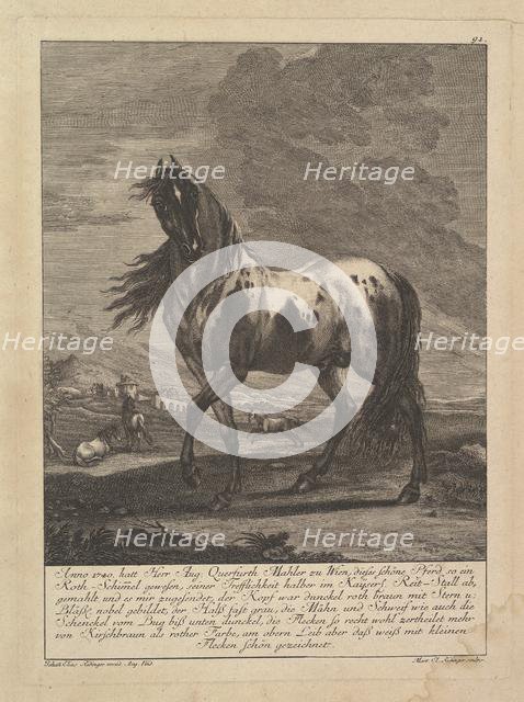 Horse, 18th Century. Creator: Unknown.