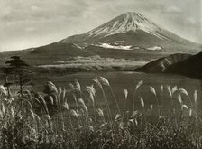 'Fuji and the Kaia Grass', 1910. Creator: Herbert Ponting.