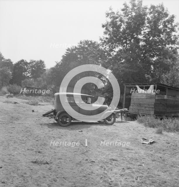 [Hop pickers' camp?], 1939. Creator: Dorothea Lange.