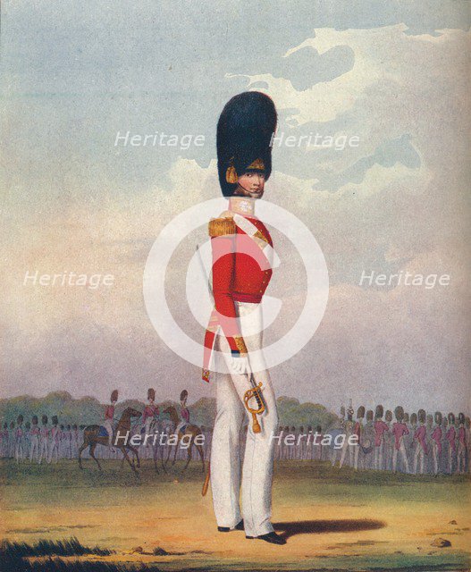 'Officer, Grenadier Guards', 19th century (1909). Artists: Ralph Nevill, L Mansion, S Eschauzier.