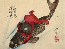 Kintaro Riding the Carp, 1882. Creator: Tsukioka Yoshitoshi.