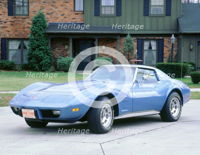 1976 Chevrolet Corvette 350 cid. Artist: Unknown.