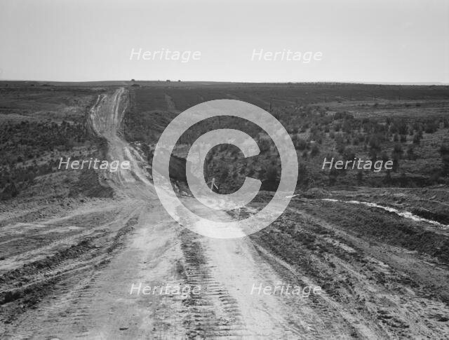 Landscape on top of bench, showing new lands, and farms..., Dead Ox Flat, Oregon, 1939. Creator: Dorothea Lange.
