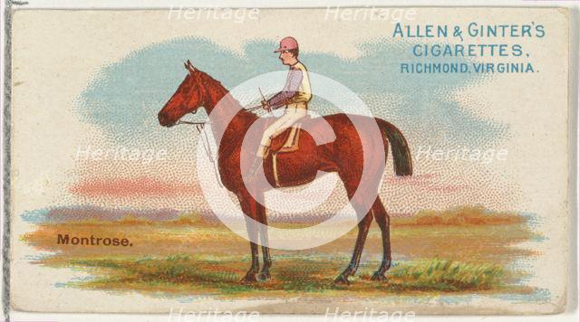 Montrose, from The World's Racers series (N32) for Allen & Ginter Cigarettes, 1888. Creator: Allen & Ginter.