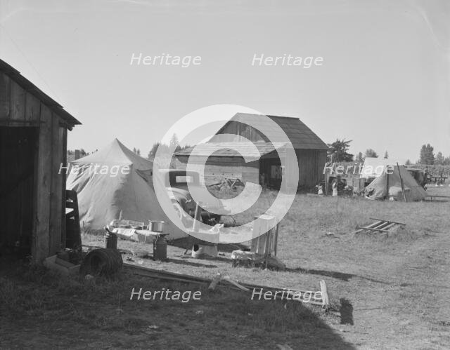 Bean pickers camp in grower's yard - no running..., near West Stayton, Marion County, Oregon, 1939. Creator: Dorothea Lange.