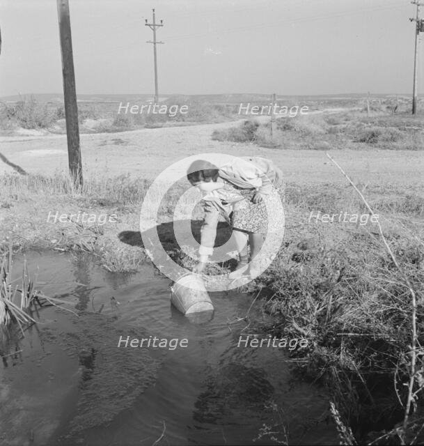 Mrs. Bartheloma dipping water from irrigation ditch..., Nyssa Heights, Malheur County, Oregon, 1939. Creator: Dorothea Lange.