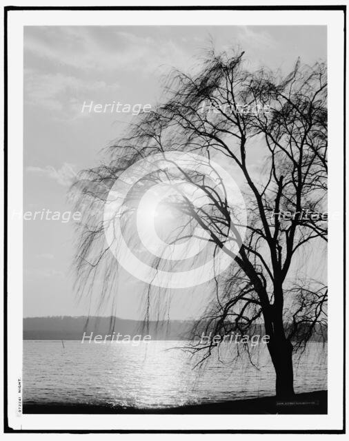 Night, c.between 1910 and 1920. Creator: Unknown.