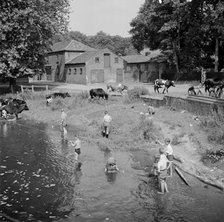 Children fishing in the River Wensum near Costessey, Norfolk, 1950. Artist: Hallam Ashley