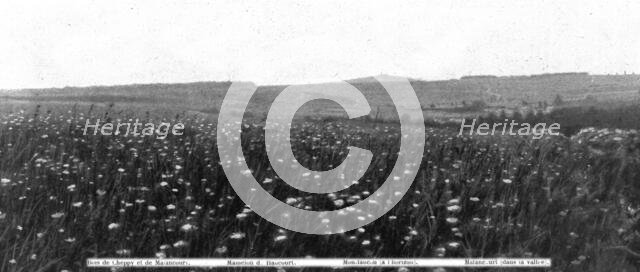 'Panoramas du champ de bataille, a l'ouest de la Meuse; Les arbres, sur la crete..., 1916. Creator: Unknown.