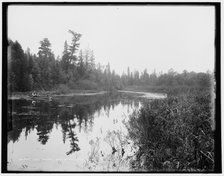 Lake Gogebic, Mich., State River, looking up, c1898. Creator: Unknown.