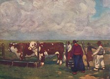 'Pedigree Oxen on a a Lemco Estancia', 1916. Artist: A S Forrest.